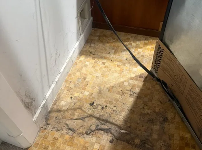 Grimy mosaic tile floor before cleaning
